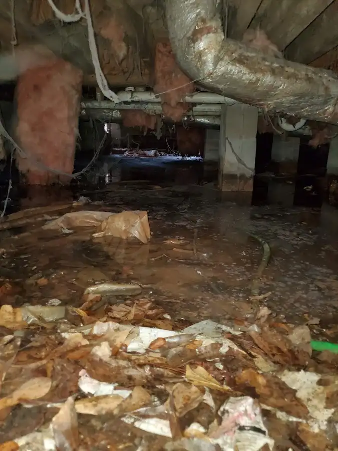 Crawl space flood assessment for Leak Detection & Repair in Bethel